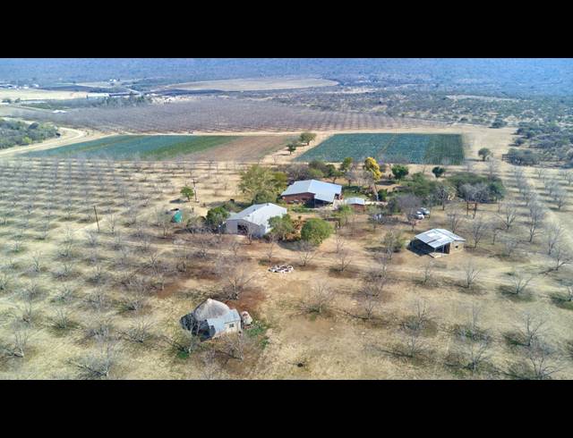 31HA FARM FOR SALE IN WEENEN